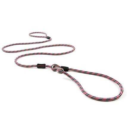 Slip Collar Dog Leash C10377
