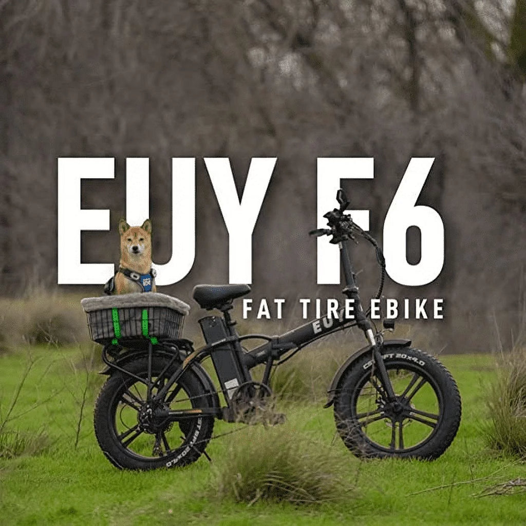 20 Fat Tire Folding Electric Bicycle 750W Motor 48V 20Ah Battery Black R67543