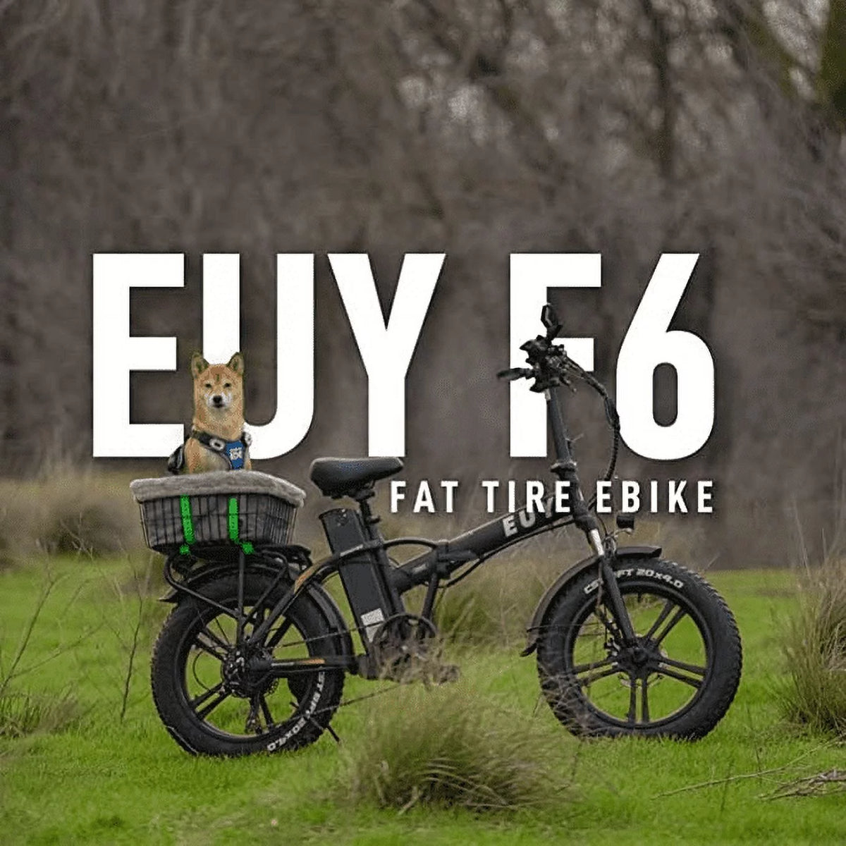 20 Fat Tire Folding Electric Bicycle 750W Motor 48V 20Ah Battery Black R67543