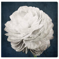 White Floral and Botanical Canvas L10735