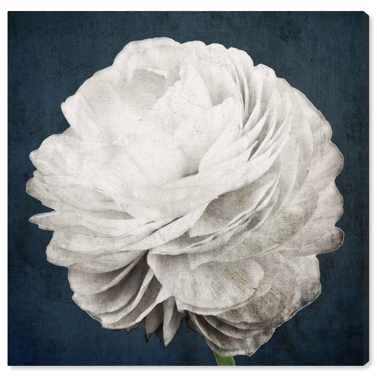 White Floral and Botanical Canvas L10735