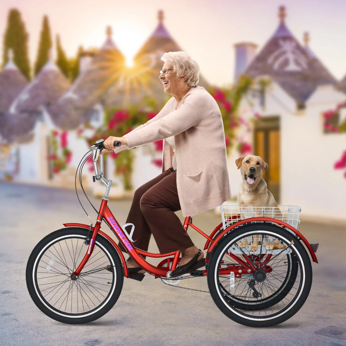 Adult Tricycles 3 Wheel 7 Speed Trikes with Basket A5047