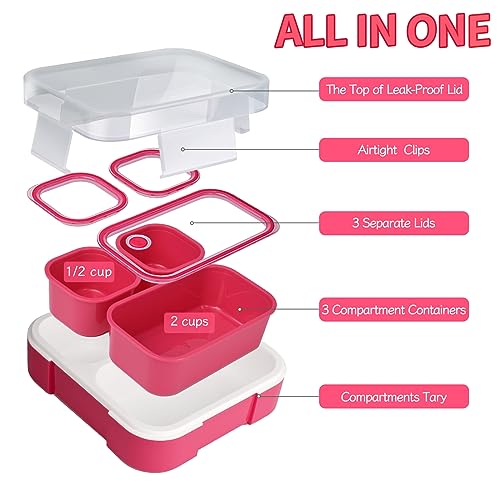 2 Pack 3-Compartment Bento Box H279
