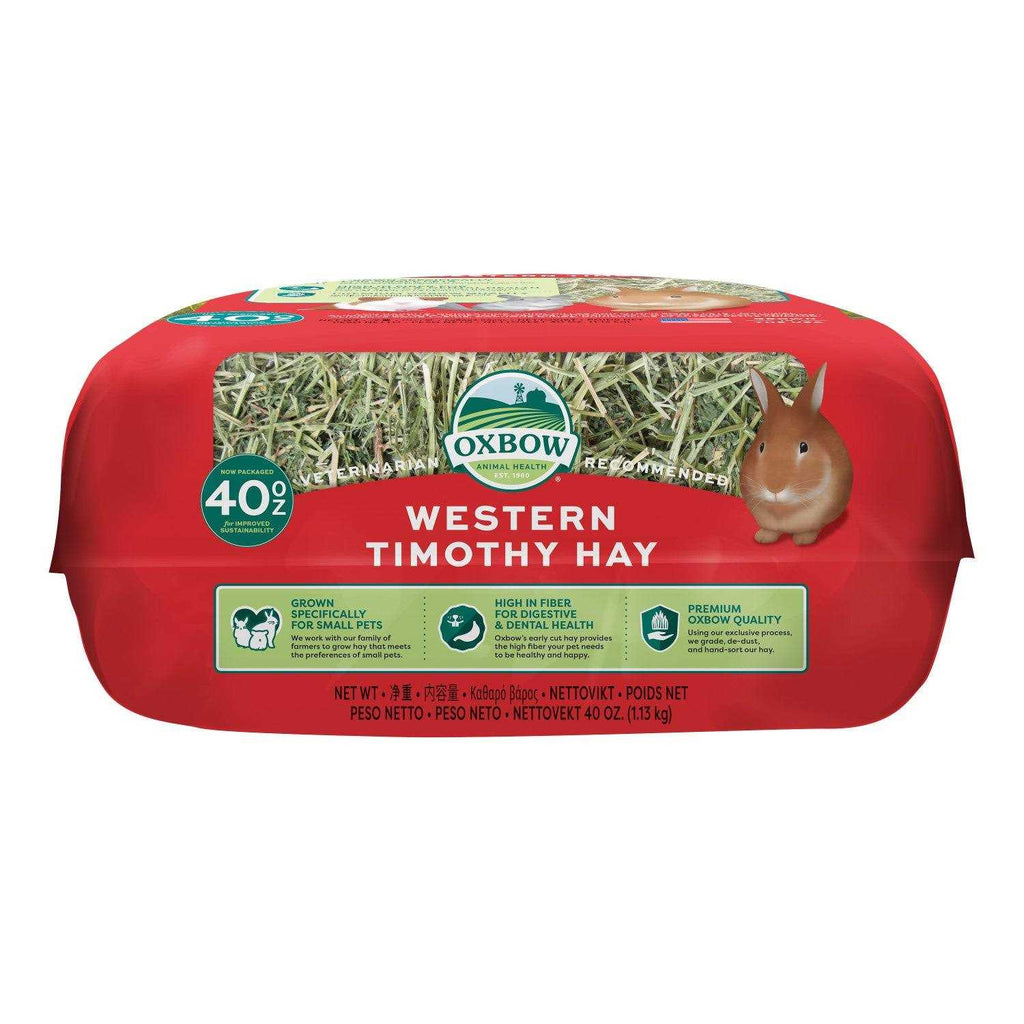 Western Timothy Hay R48576