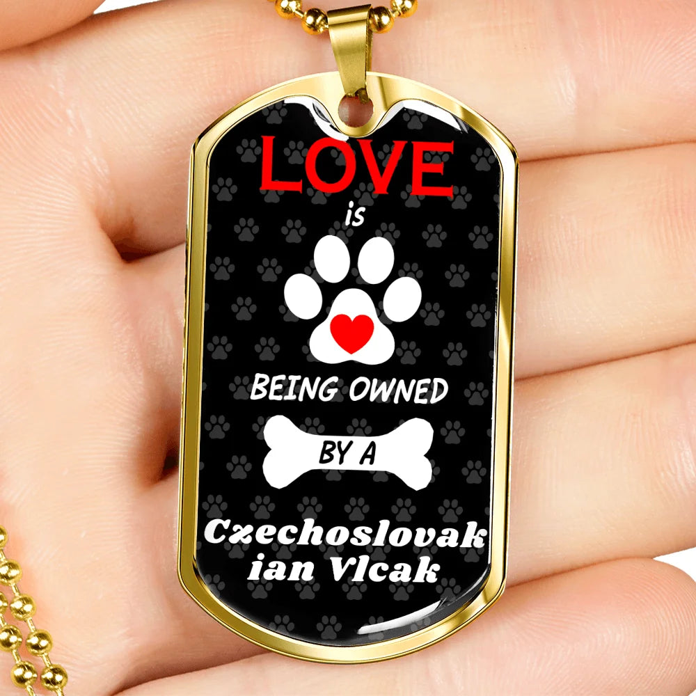 Stainless Steel or 18k Gold Dog Tag 24" Chain G7344