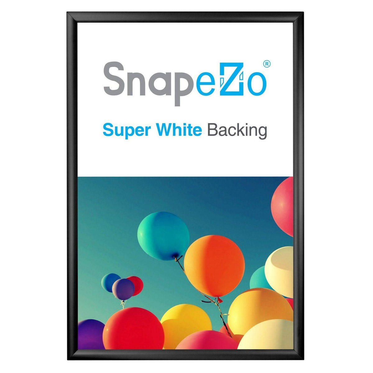 Black Snap Frame F8064