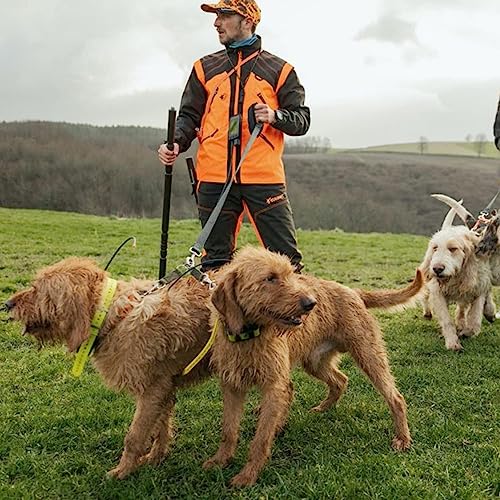 GPS Dog Tracking System & Remote Training Device K878