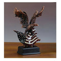 Eagle with American Flag B949126