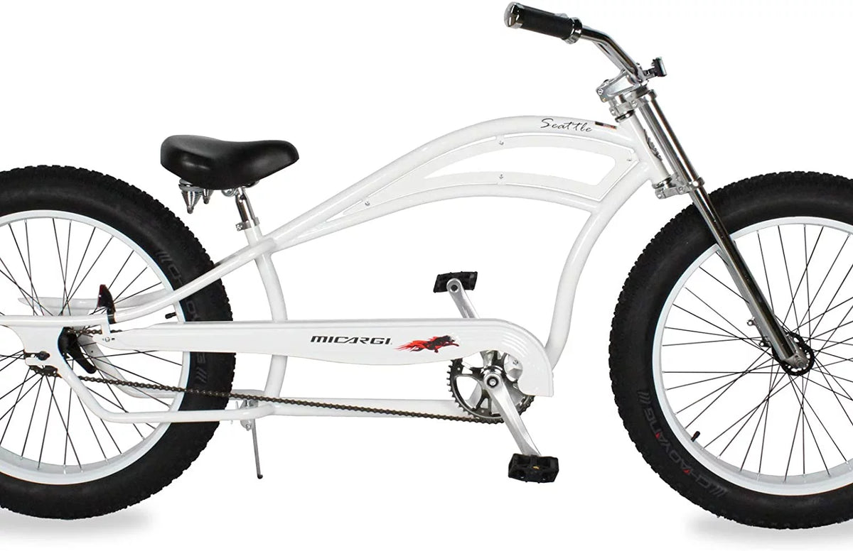 26 Single Speed Fat Tire Beach Cruiser Bike T402576