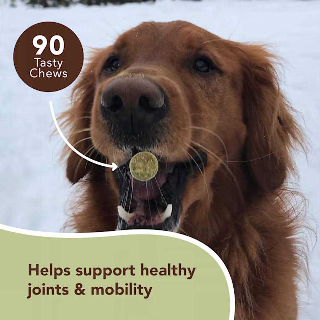 Hip & Joint Pet Supplies J12120