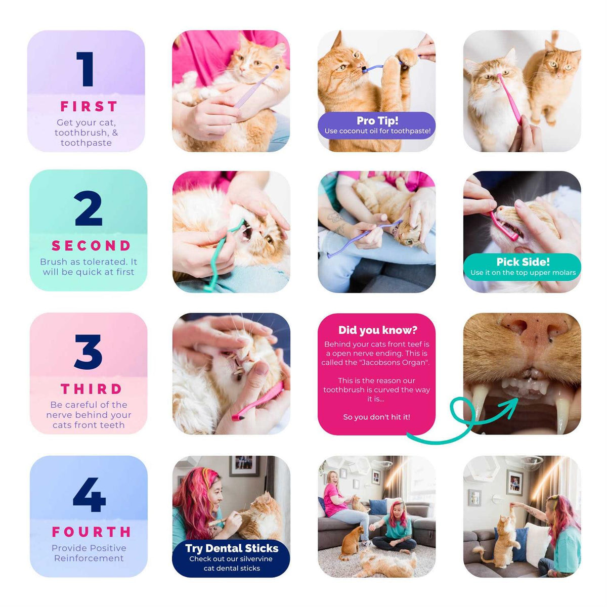 Dual Sided Cat Toothbrush H590