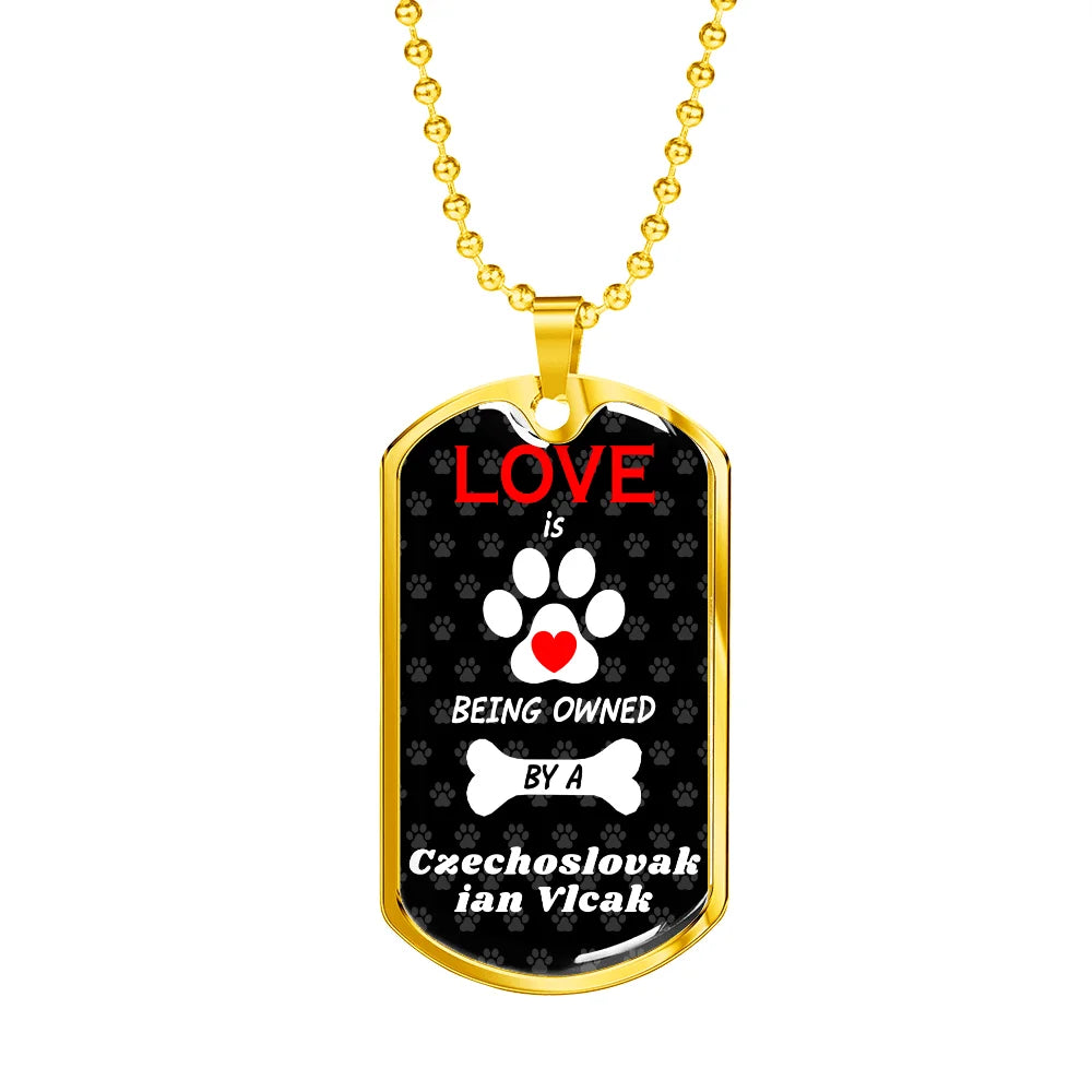 Stainless Steel or 18k Gold Dog Tag 24" Chain G7344