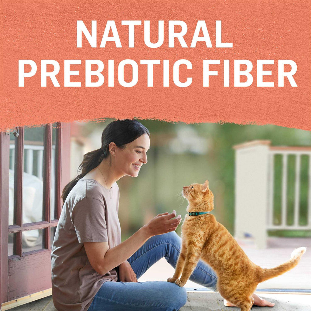 Grain Free Salmon & Sweet Potato Cat Food Y711431