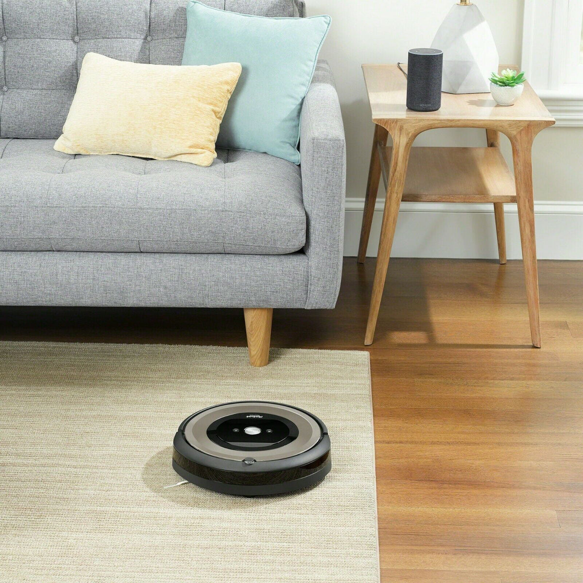 Vacuum Cleaning Robot O910190