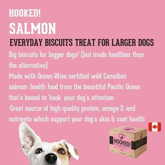 Salmon Flavored Dog Treats R153339
