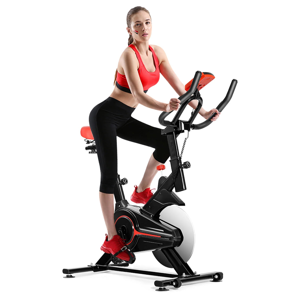 Indoor Exercise Bike X939
