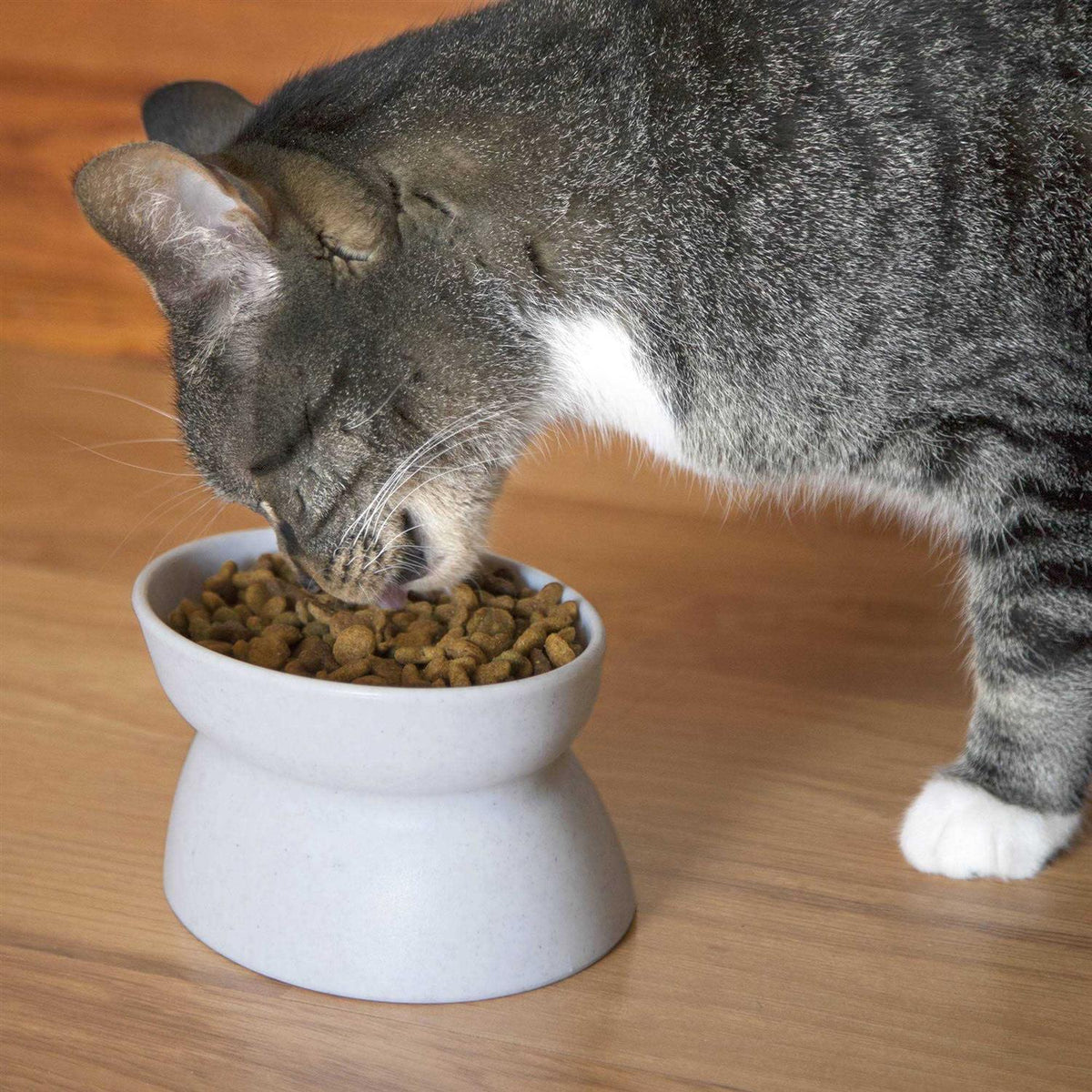 Raised Cat Food Bowl T337