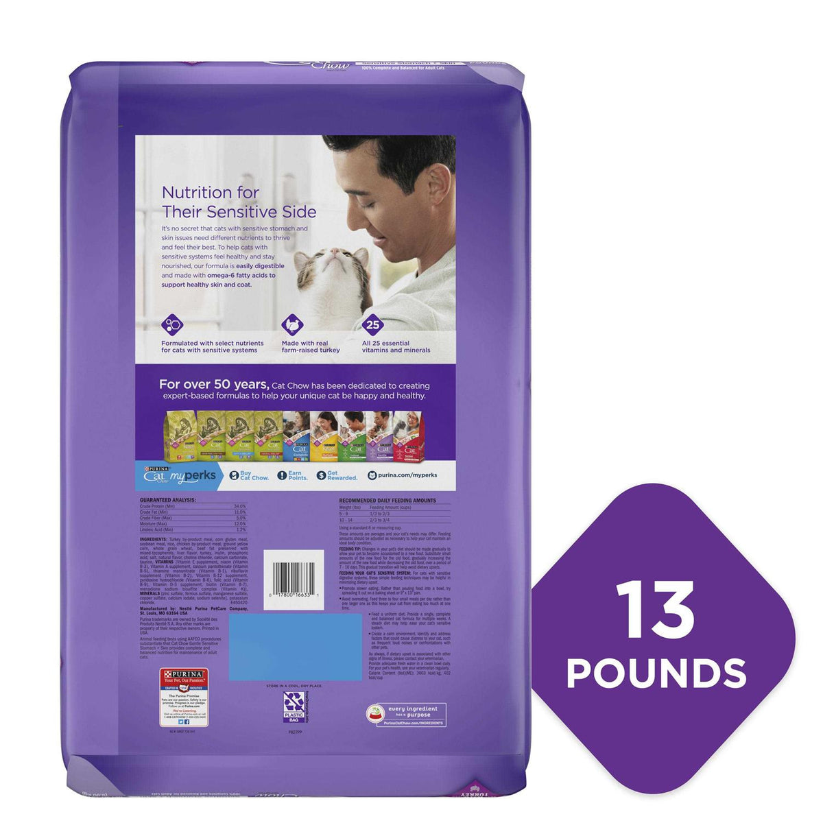 Dry Cat Food P2843