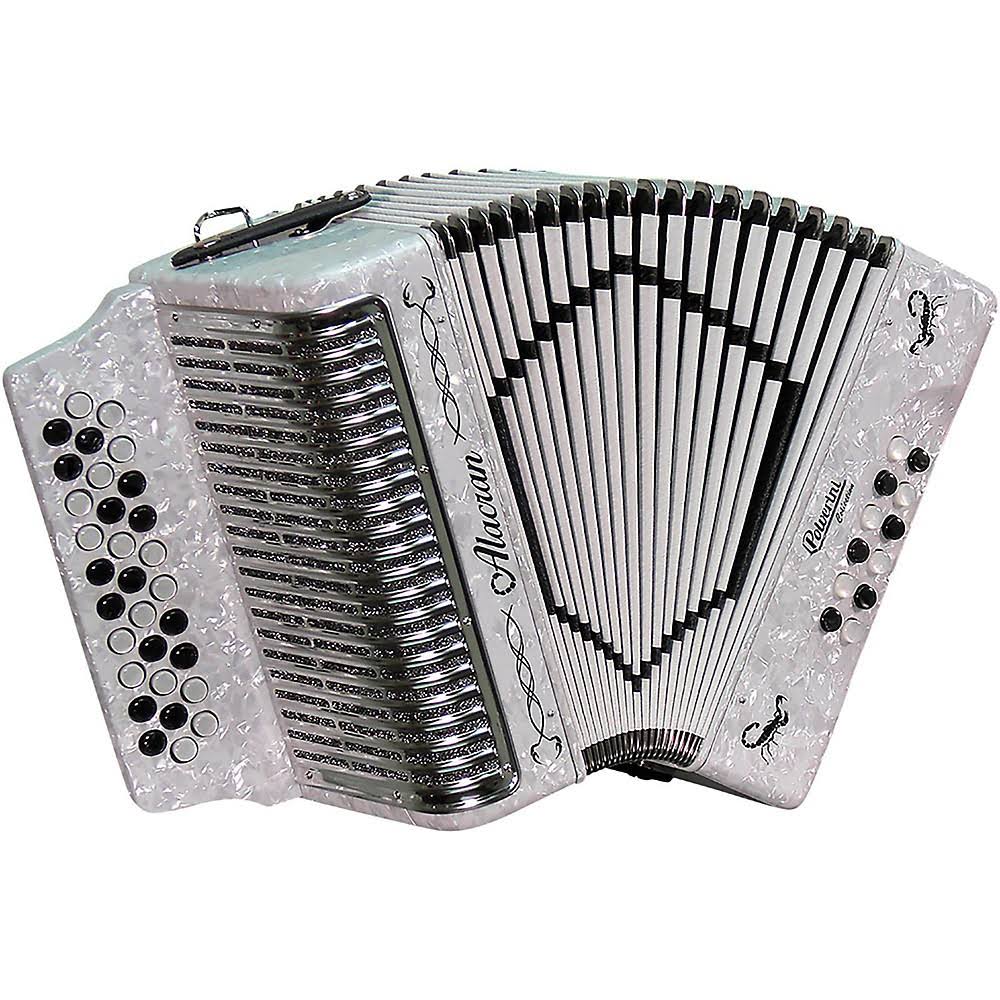 White Accordion with Case and Straps T363901