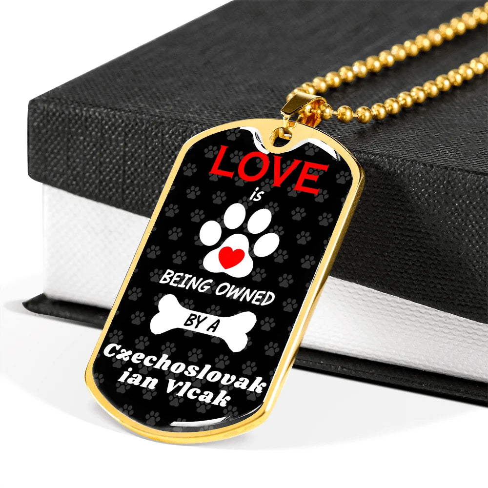 Stainless Steel or 18k Gold Dog Tag 24" Chain G7344