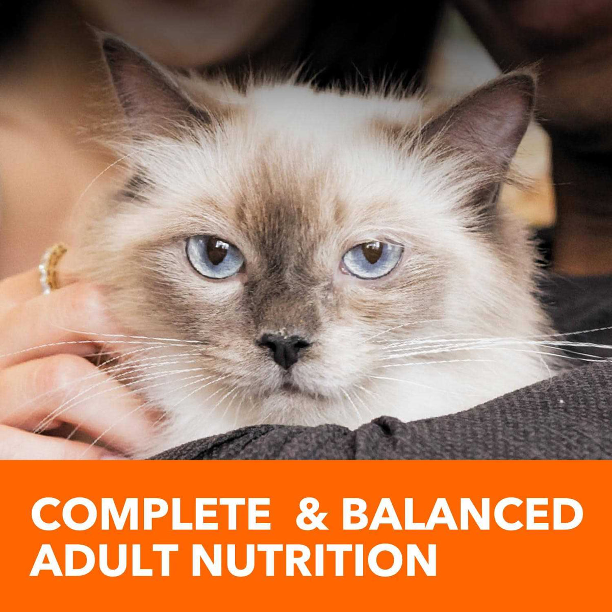 Adult Cat Food L1782