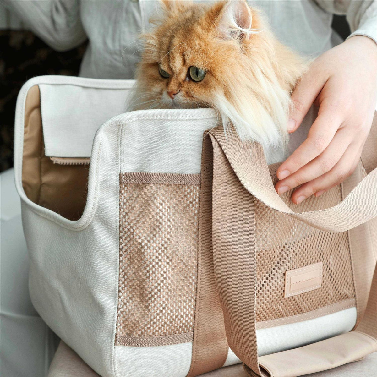 Canvas Lightweight Water Resistant Pet Carrier F991982
