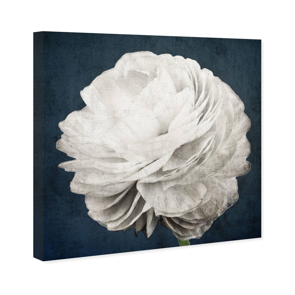 White Floral and Botanical Canvas L10735
