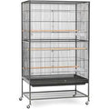 Black Wrought Iron Flight Cage with Stand G80263