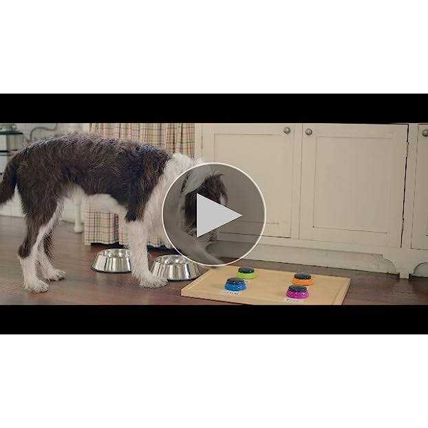 Dry Dog Food Real Chicken & Veggies Recipe K714073