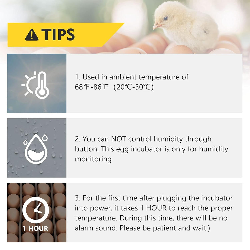40 Egg Incubator with Automatic Egg Turning and Temperature Control S36049