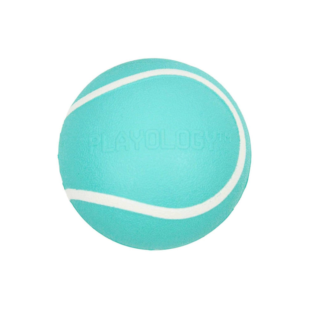 Squeaky Chew Ball Dog Toy N648354