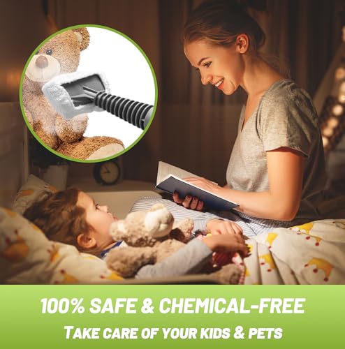 Handheld Pressurized Steam Cleaner with 13 Accessories W640434