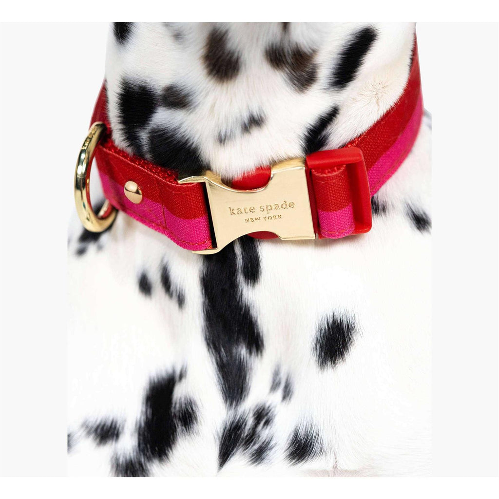 Red Pink Colorblock Dog Collar L588
