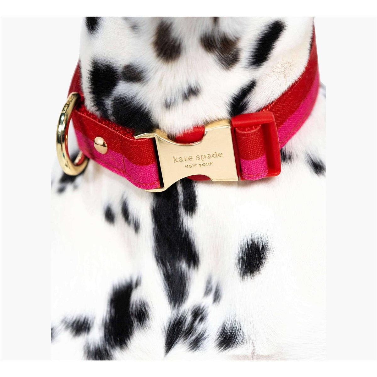 Red Pink Colorblock Dog Collar L588