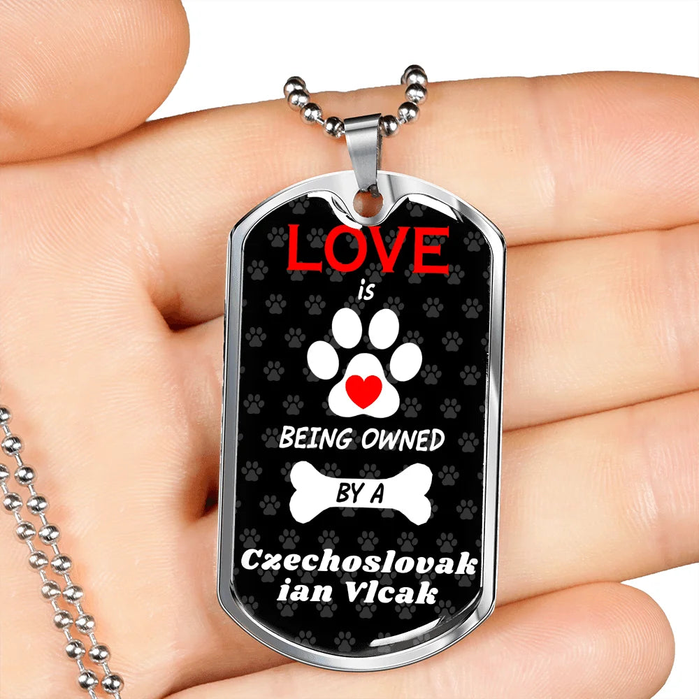 Stainless Steel or 18k Gold Dog Tag 24" Chain G7344