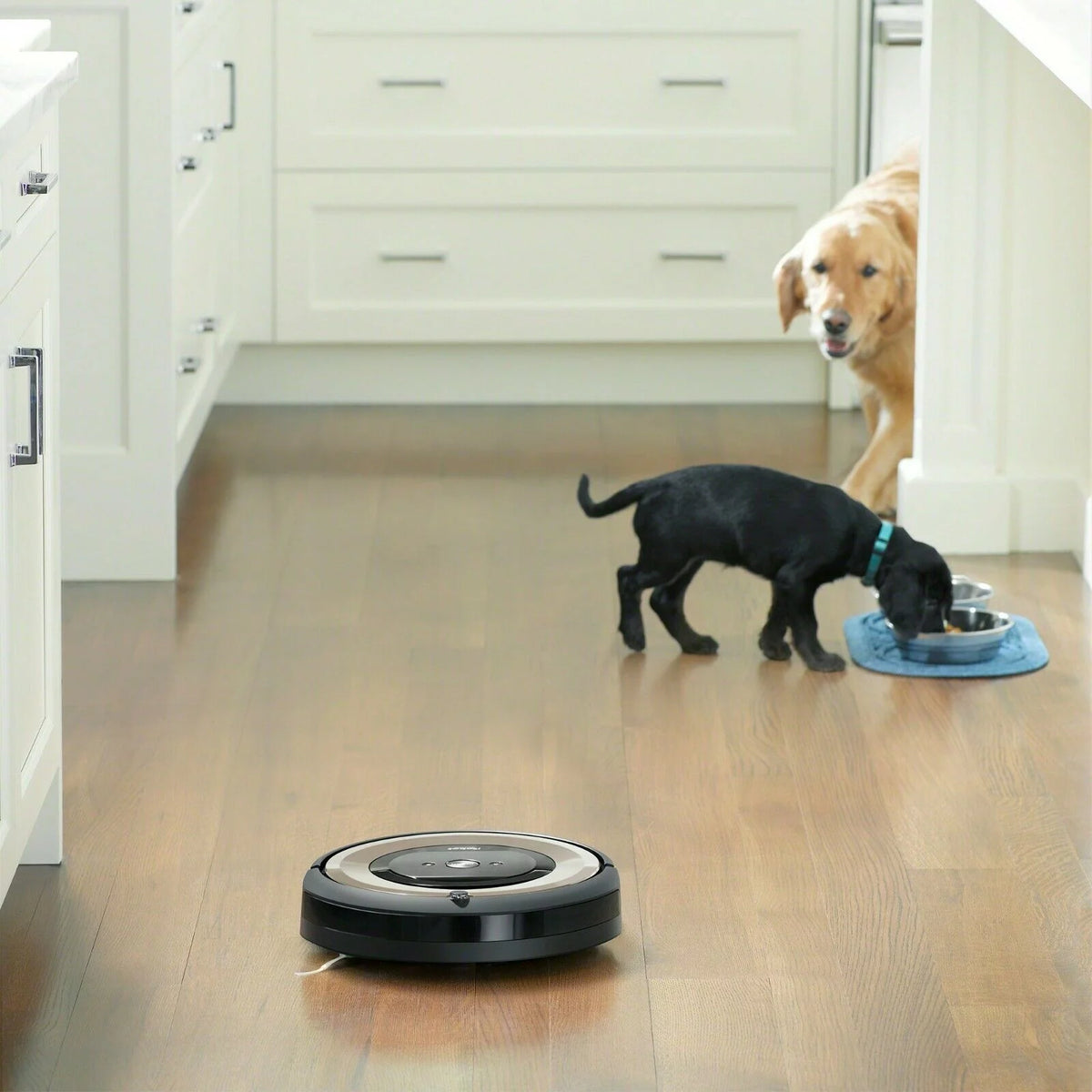 Vacuum Cleaning Robot O910190