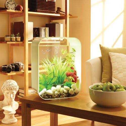 15 Aquarium with Standard Light Y382