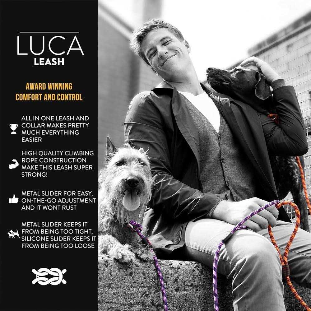 Slip Collar Dog Leash C10377
