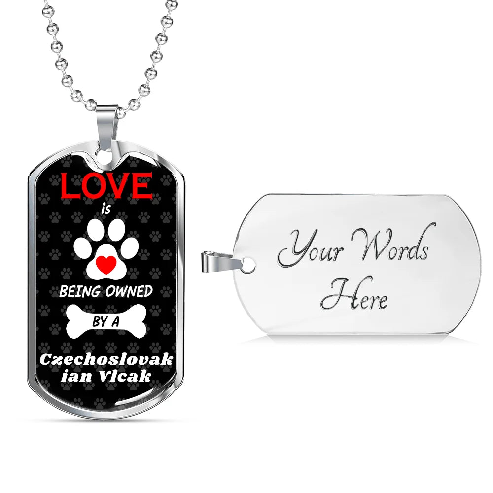 Stainless Steel or 18k Gold Dog Tag 24" Chain G7344
