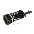 Black Suspension Strut and Coil Spring Assembly P8804