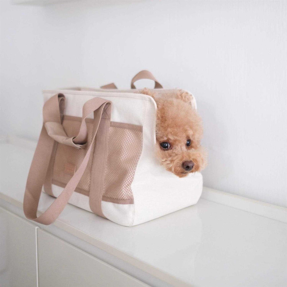 Canvas Lightweight Water Resistant Pet Carrier F991982