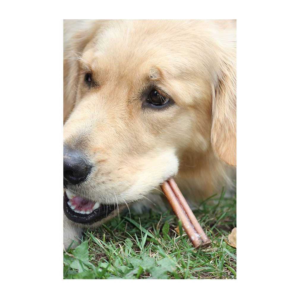 Bully Sticks For Medium Dogs X93143