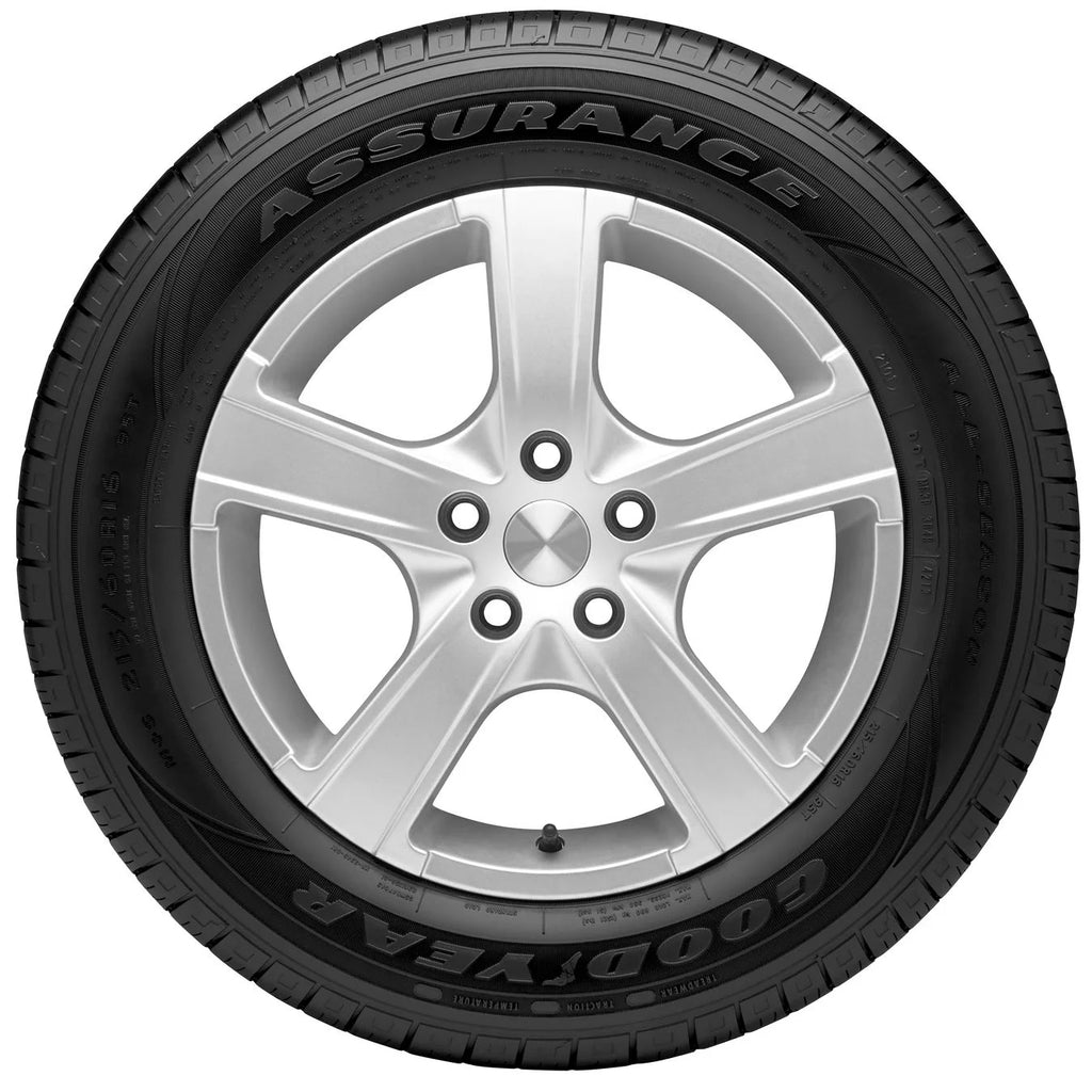 205/55R16 91H All-Season Passenger Tire E938335