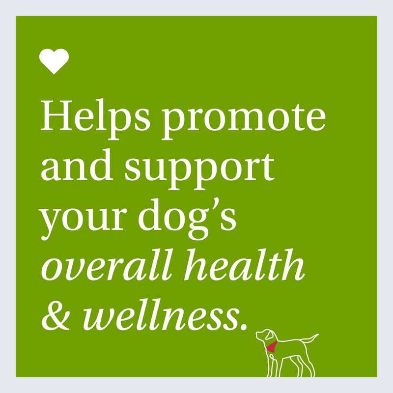 22 in 1 Dog Multivitamin X38572
