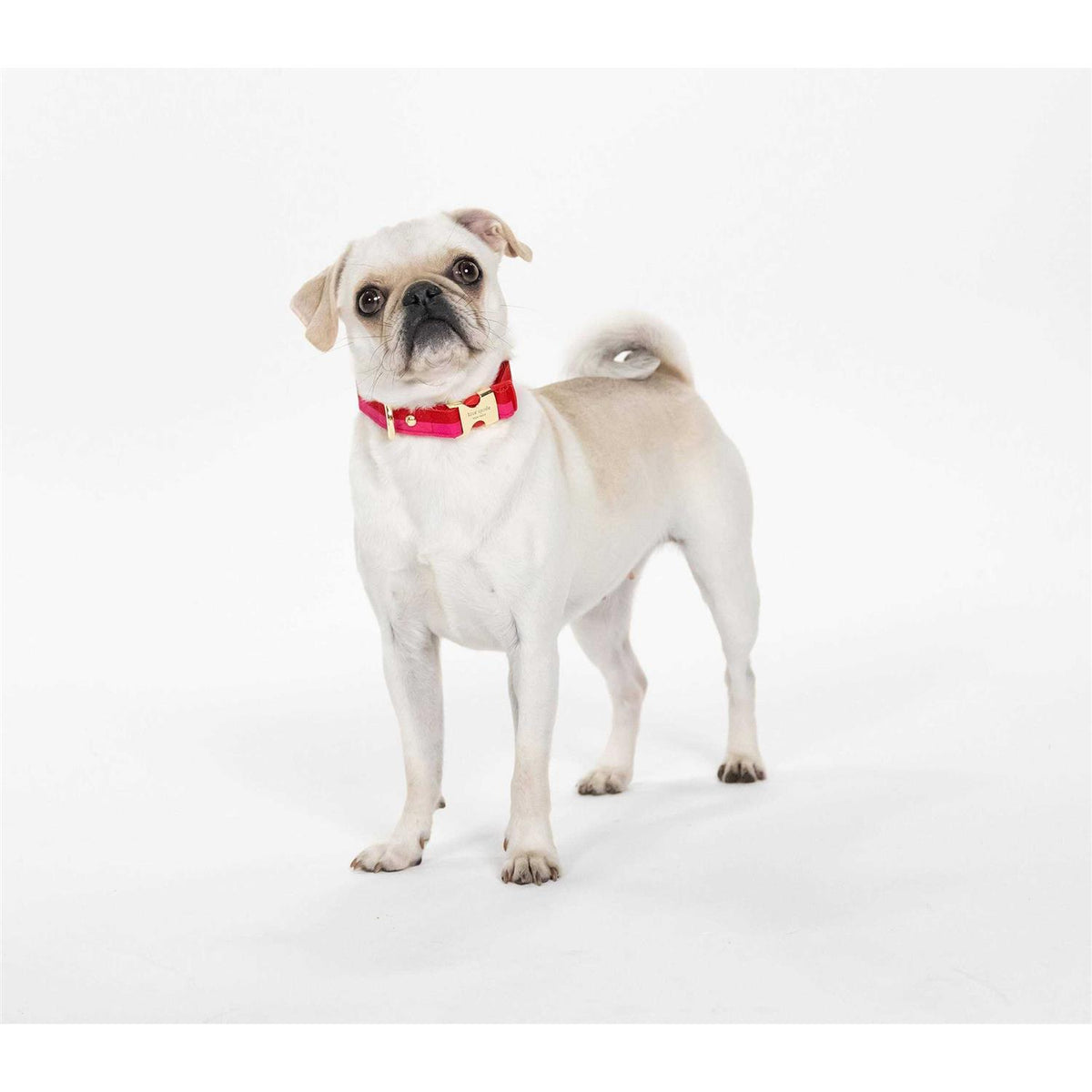 Red Pink Colorblock Dog Collar L588