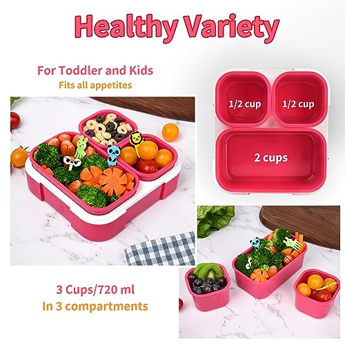 2 Pack 3-Compartment Bento Box H279