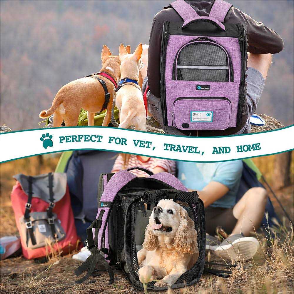 Expandable Pet Carrier Backpack V867089