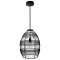 Black 1 Light Single Teardrop Pendant Q873