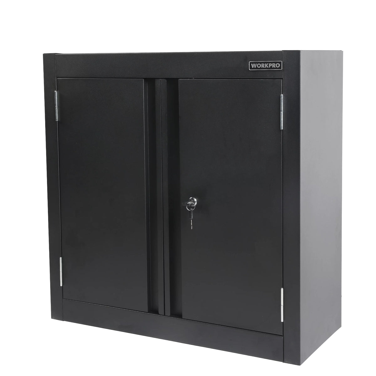 28-Inch Steel Wall Storage Cabinet A248