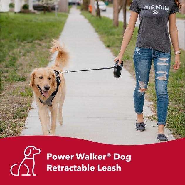 Retractable Dog Leash N967